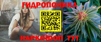 сатива Балаково