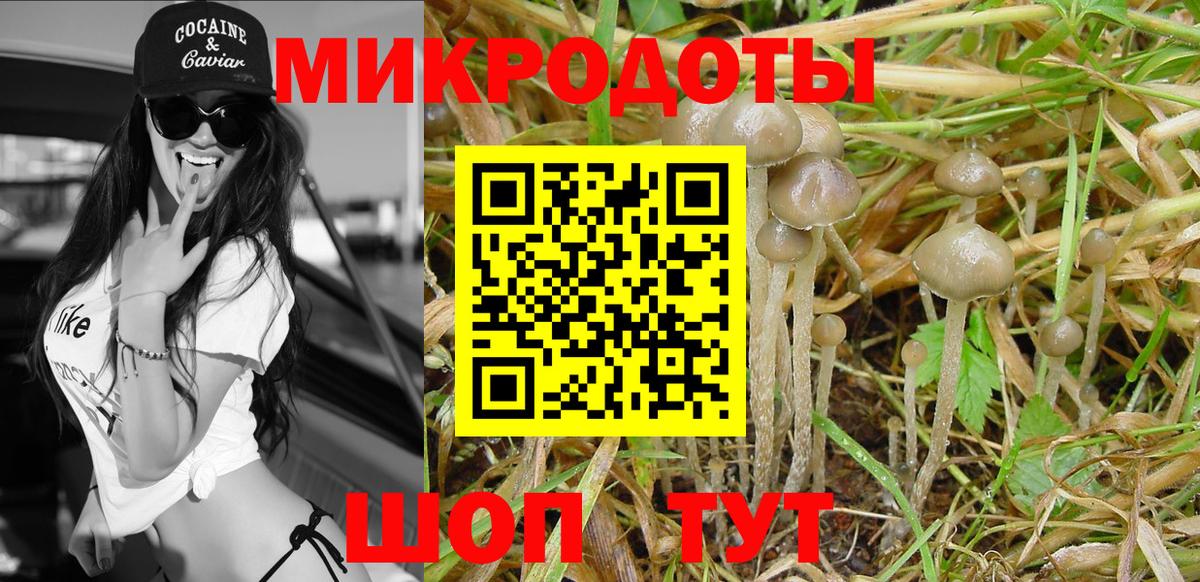 Псилоцибиновые грибы GOLDEN TEACHER  Вход с VPN  Асино  Галлюциногенные грибы мухоморы 