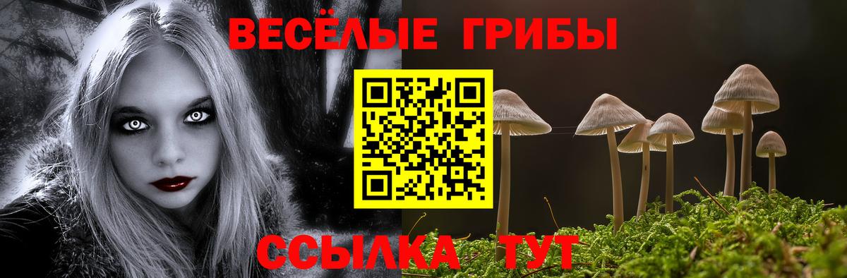 Псилоцибиновые грибы Magic Shrooms Асино
